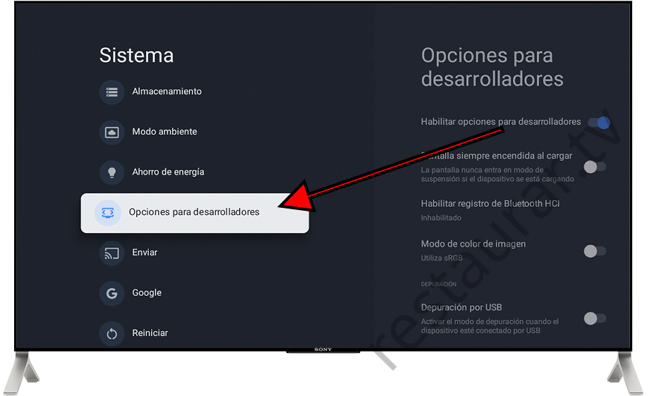 Opciones para desarrolladores Google TV