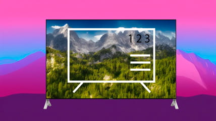 Ordenar canales en Smart TVs Salora